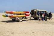 Our outing this year from Swakopmund was Kayaking with seals.